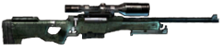 AWP